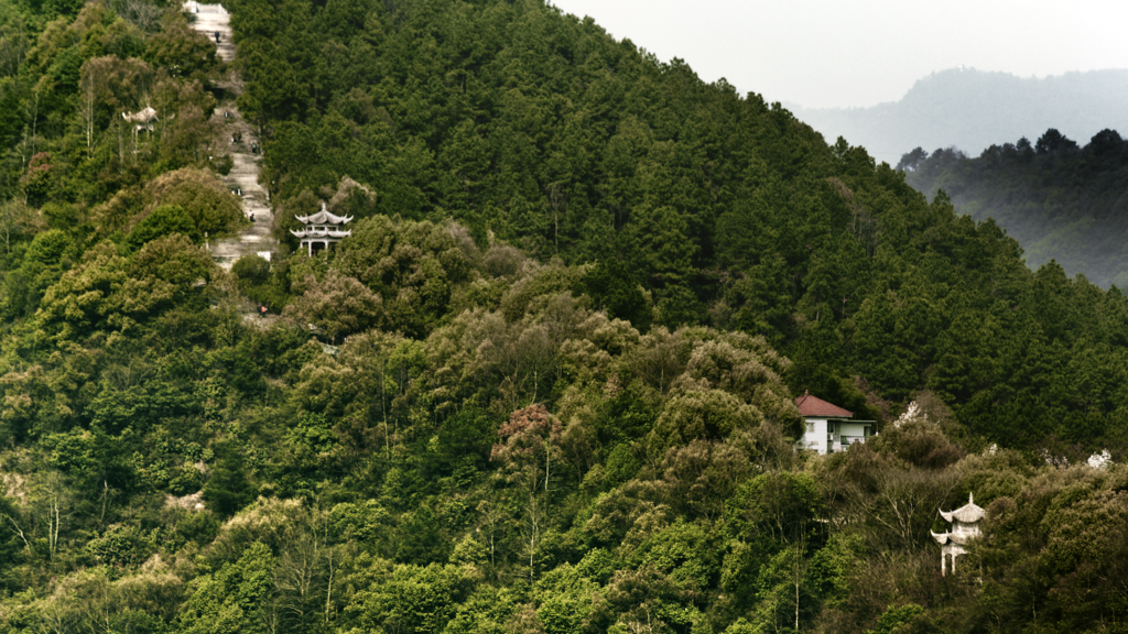 Dwelling_In_The_Fuchun_Mountains_09