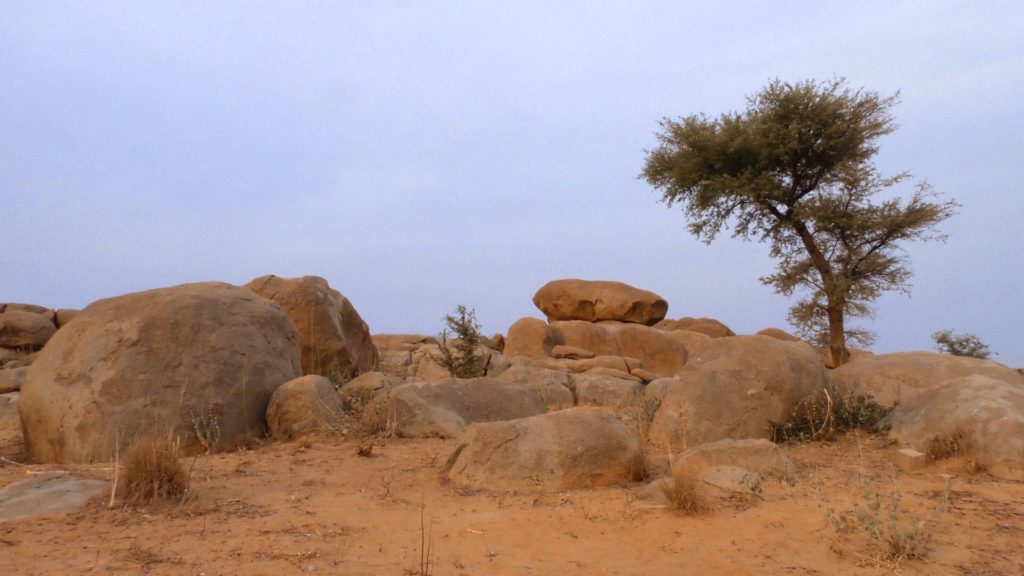 Paysage_desert