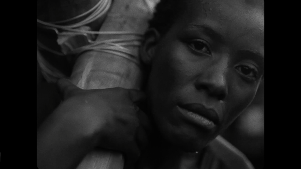 STILL 1