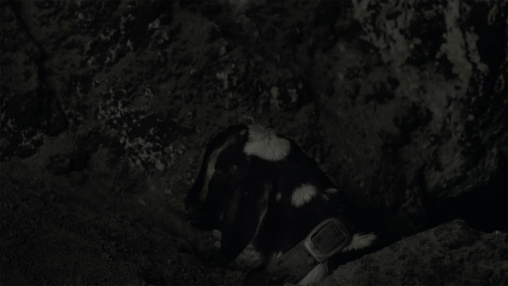 STILL15
