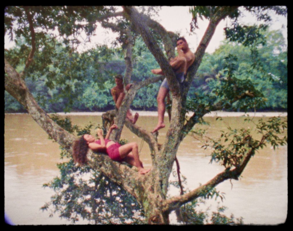 Heliconia final stills 2