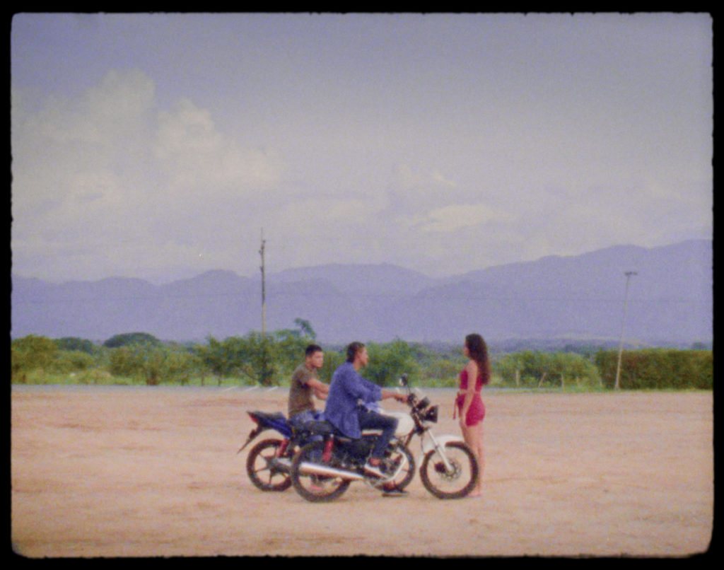 Heliconia final stills 3