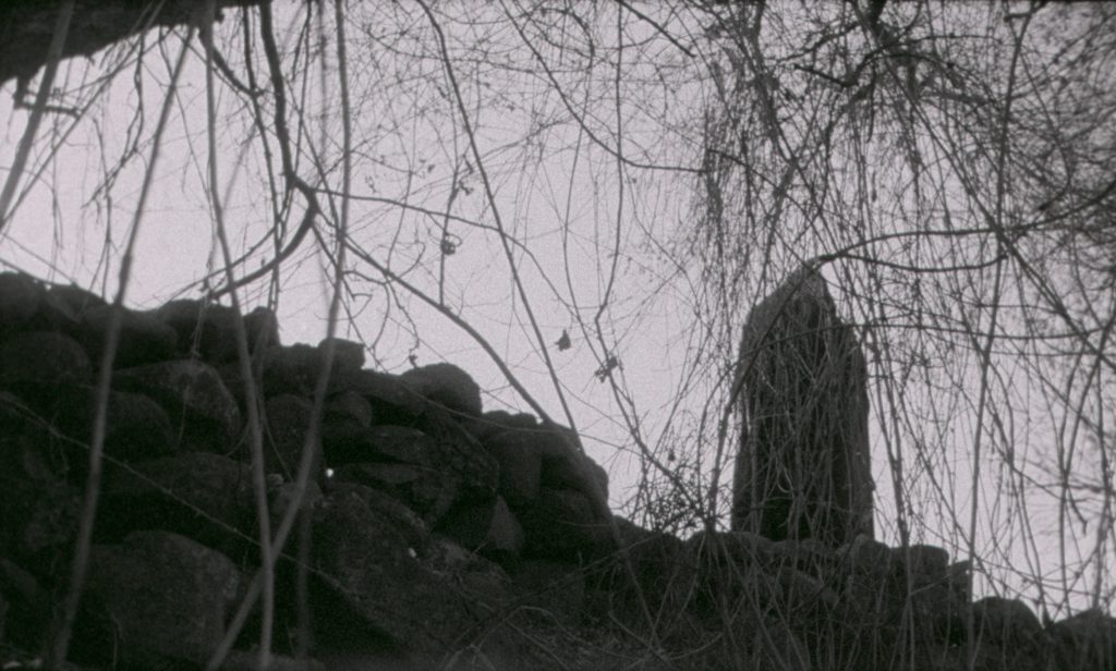 Still Bruja 4